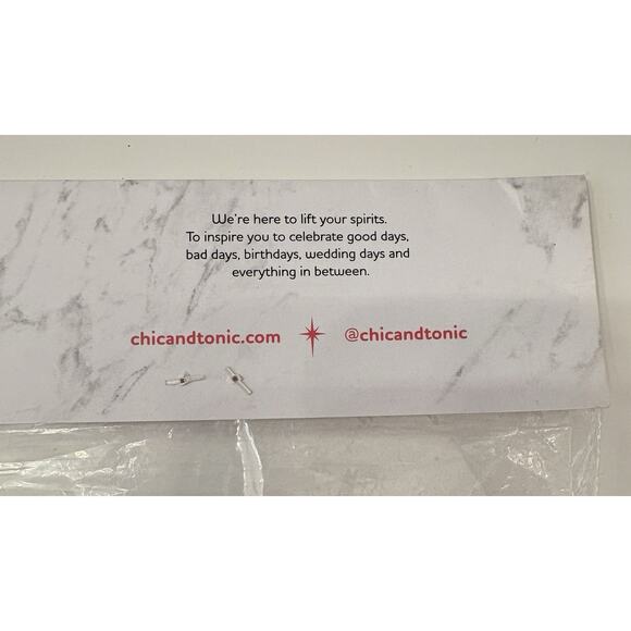 Chic & Tonic Reusable Lunch Bags Set Of 3 Freezer Safe BPA Free New In Package - Picture 5 of 7